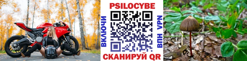 Галлюциногенные грибы GOLDEN TEACHER  Купить где  Моршанск 